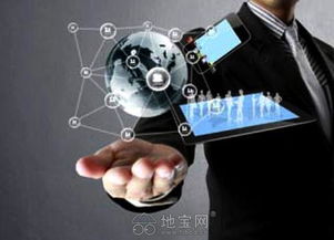 软件外包服务的优势与挑战