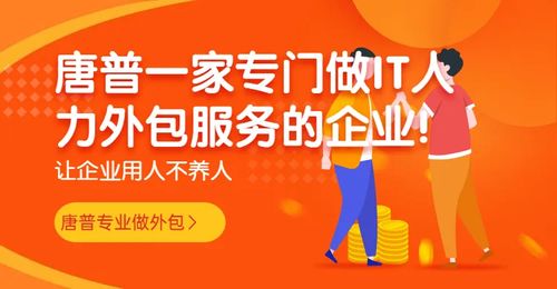 影响软件开发人员外包价格的关键因素