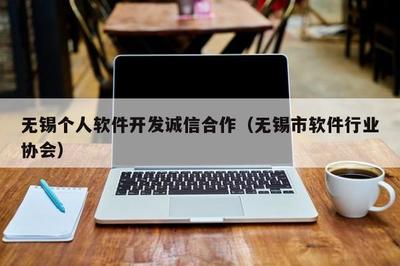 无锡个人软件开发诚信合作 软件外包服务保障