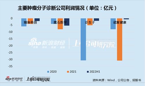 臻和科技IPO之路 三年亏损、同质化竞争与高企销售费用下的生存挑战