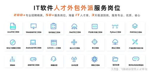 软件人力外包 提升企业效率的战略选择